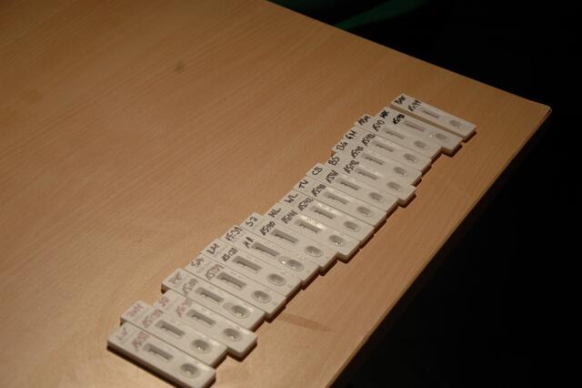 Anonymisiert, aber gekennzeichnet. Die Mitarbeiter können so das Ergebnis den Getesteten zuordnen. | Foto: Nicole Martin