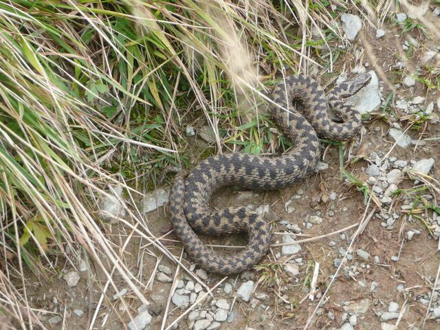Gefährliche Wegstrecke ohne Seilsicherung