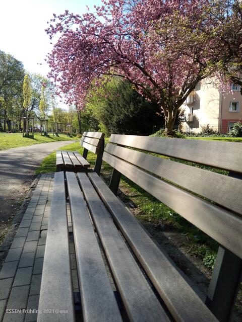 im Frühling alles noch auf ne´ Lange Bank geschoben...jetzt ist tatsächlich WEIHNACHTEN... schon wieder VORBEI!!! 2022 beginnt bald