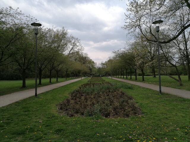 Ansicht des Stadtgartens in Herne. Manchmal blühen hier Bäume richtig schön, diesmal aber nicht.