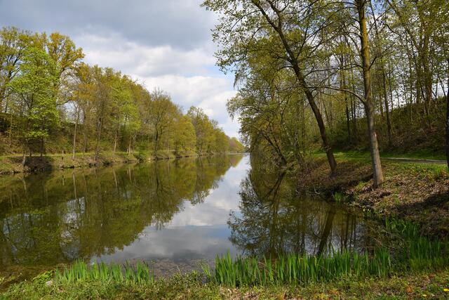 Schöne Spiegelungen hatten wir viele an diesem Tag.