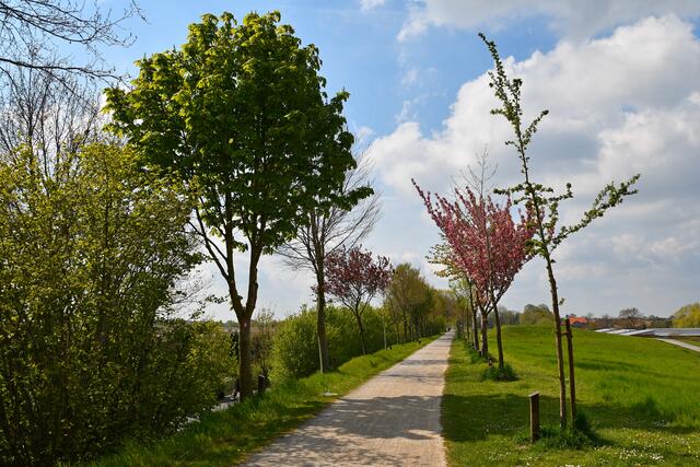 Zunächst geht es von der Dreibogenbrücke aus über einen Damm an Olfen vorbei.
