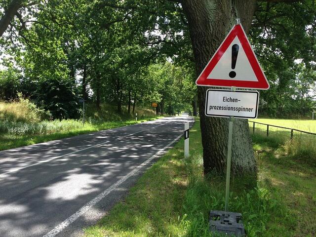 Kamp-Lintfort: Um die Ausbreitung des Eichenprozessionsspinners durch biologische Spritzmittel einzudämmen, wird der Waldfriedhof am Montag, 10. Mai, von 13 Uhr für den Rest des Tages komplett geschlossen.