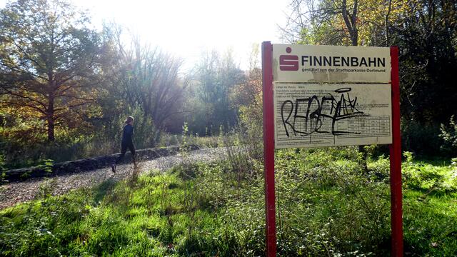 Sportler und Spaziergänger dürften Dortmunds bekannteste Finnenbahn (oder Finnbahn) in der Bolmke kennen (Bild). Eine zweite gibt es über dem Tunnel der B236 in Berghofen. Die SPD beantragt nun den Finnbahn-Bau im NSG Alte Körne (Archivfoto).
