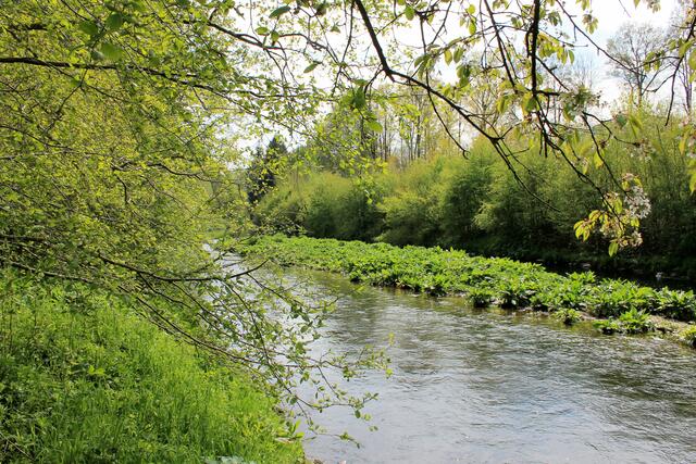 Kurz vor der Ruhrmündung haben sich Steininseln angehäuft. Links verläuft der Rad-/Fußweg und befindet sich die Liegewiese.