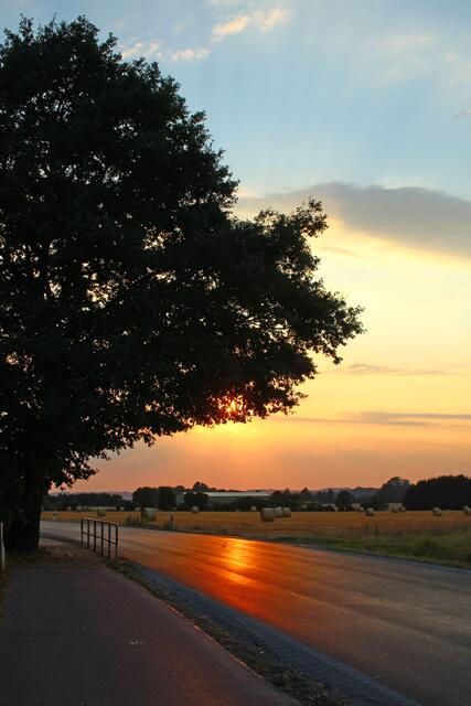 Der Radweg zwischen Bösperde und Halingen führt über das Osterfeld.