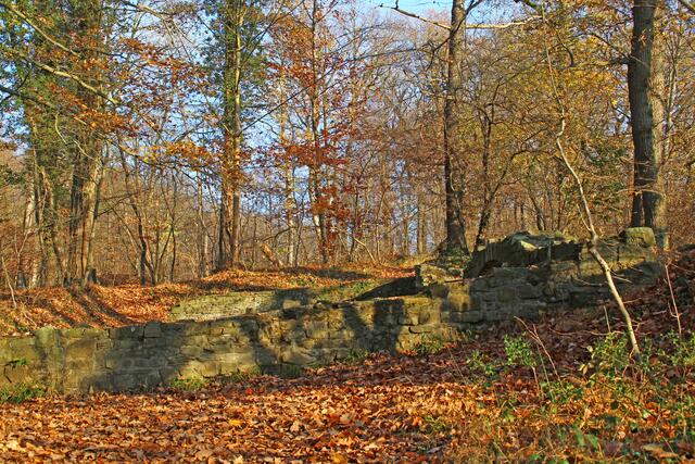 Versteckt im Wald ruhen Reste der Rodenberg-Burg. Sie wurde um 1300 zerstört und leider nicht wieder aufgebaut.