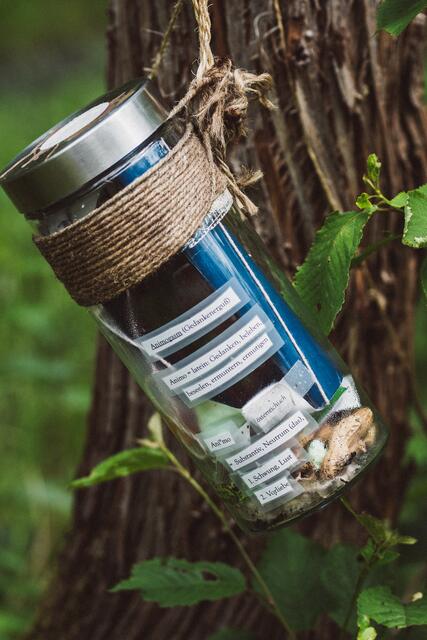 Am Baum hängt ein "Gedankengruß", nimm etwas raus oder leg etwas hinein, so regt der Satz auf dem Glas an.