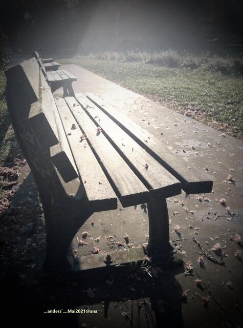 früh aan einem MAI-Morgen