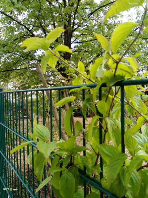 ANDERs hingeschaut, hindurchgesehen...ANDERSSEHEN...!2021@ana