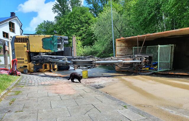 Eine schwarze Katze bestaunte seelenruhig die Unfallstelle An der Hunsebeck