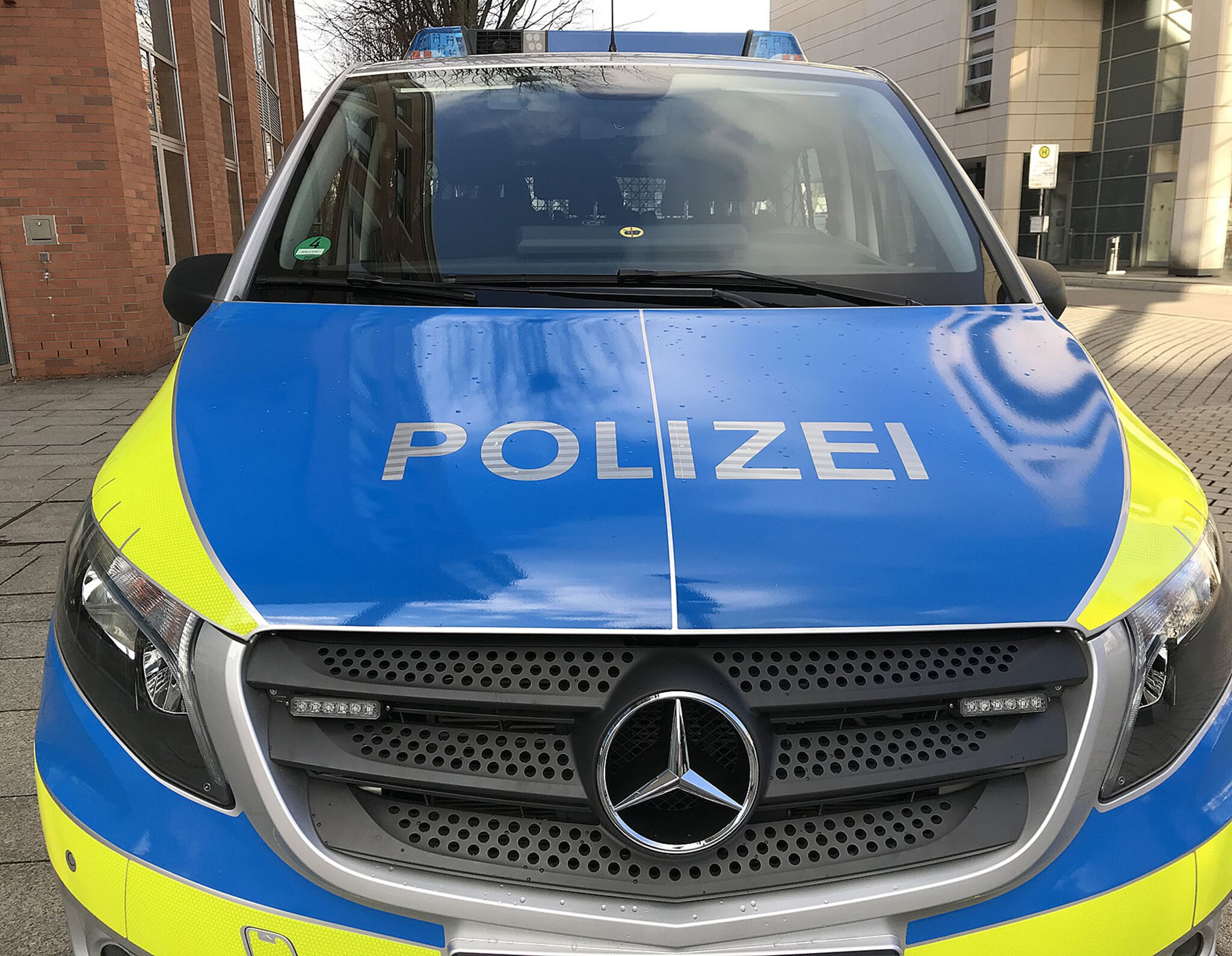 Prachtweiber Machen Es Sich Auf Einem Feld Prachtweiber Machen Es Sich Auf Einem Feld