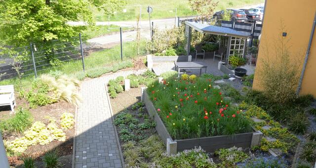 Der Innenhof ist zu einer grünen Oase geworden. | Foto: LWL / Seifert