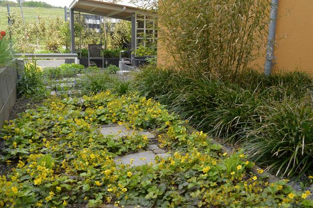 Der Innenhof ist zu einer grünen Oase geworden. | Foto: LWL / Seifert