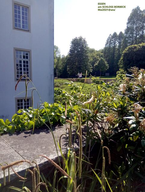 ...markante ECKE! SchlossBorbeck 2021@ana