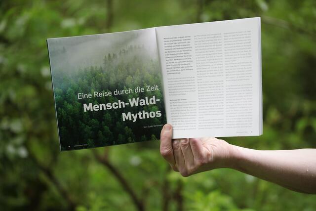 Guido Vortmann schrieb für den Naturreport über "Mensch-Wald-Mythos".