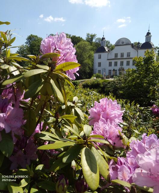 ...zart versteckt :-))) SCHLOSS BORBECK! 2021@ana