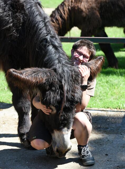 ... oder mit dem Poitou-Esel.