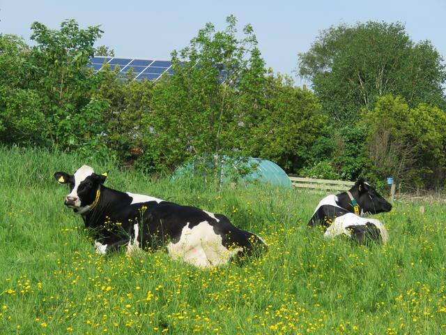 Heile Welt? Nein CO2 Schleuder