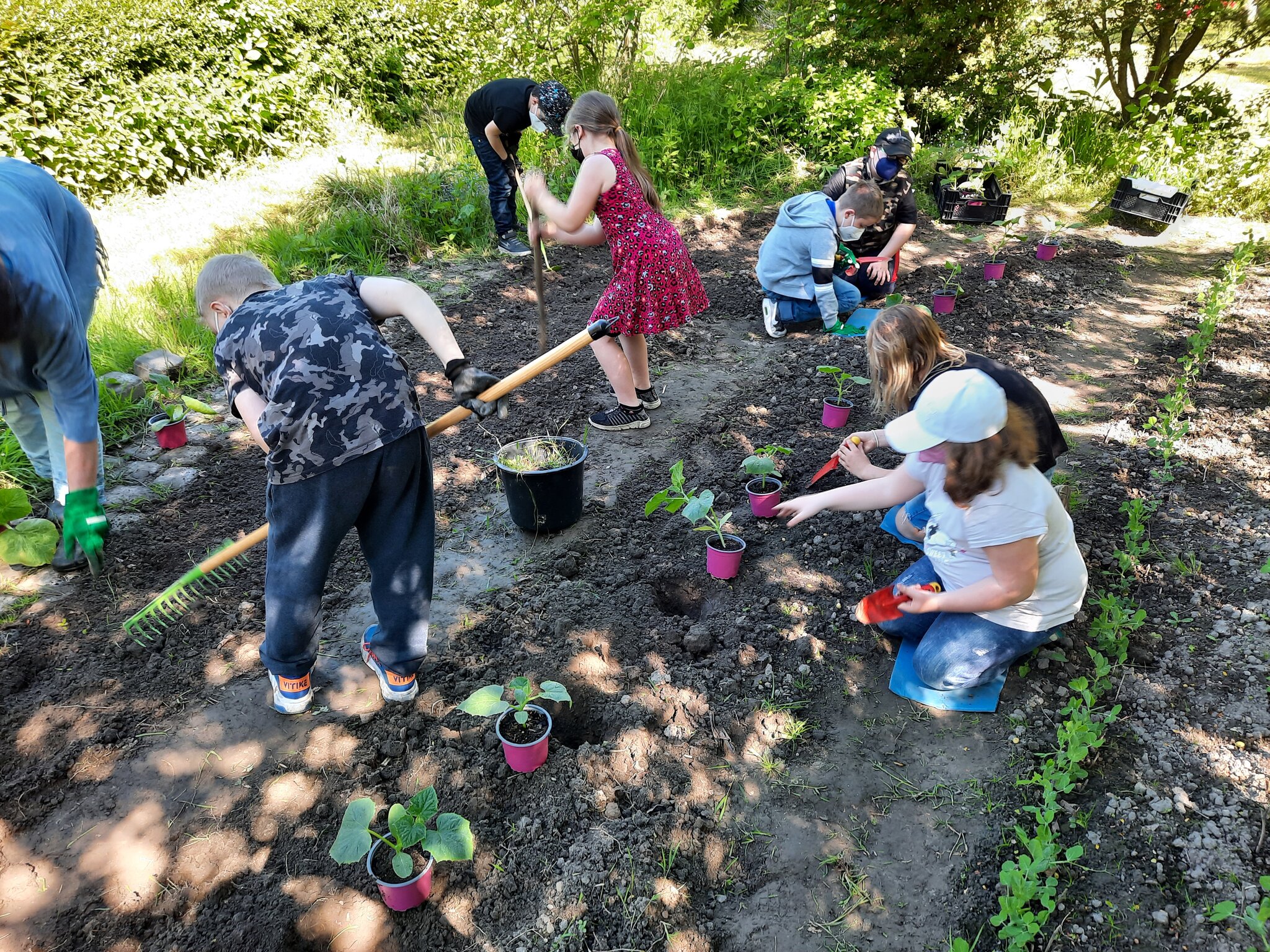 Resilienzförderung im Schulgarten Gewusel im Gemüsegarten DortmundNord