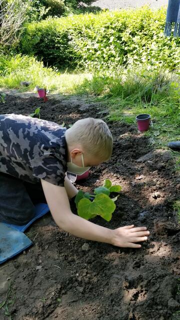 Resilienzförderung im Schulgarten Gewusel im Gemüsegarten DortmundNord