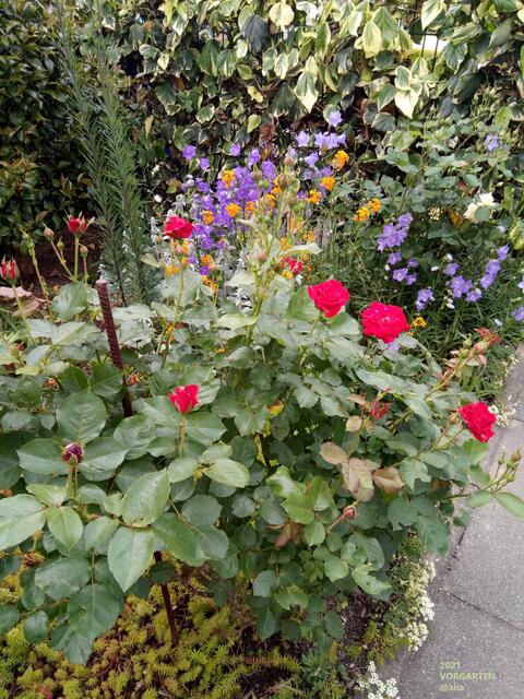 Essen in Essen-Süd - Thema