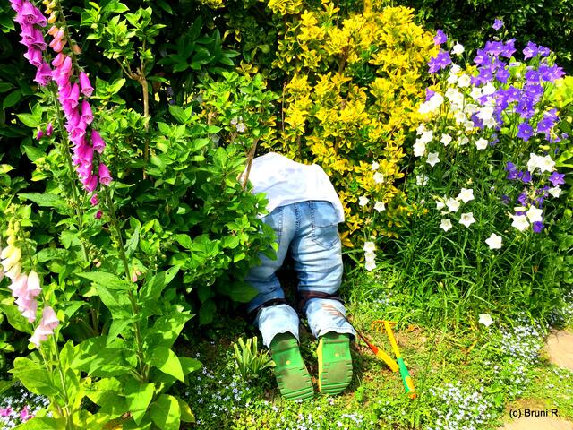 Irgend wer arbeitet immer im Garten... ;-)))