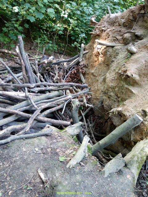 im Wäldchen´...2021@ana