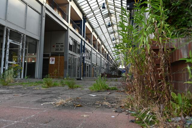 Wie am Wochenende bekannt wurden, gibt es gute Nachrichten für den Dorstener Ortsteil Barkenberg: Das Landes NRW fördert mit über 3,7 Mio. Euro für den Abriss des Wulfener Markts. | Foto: Bludau