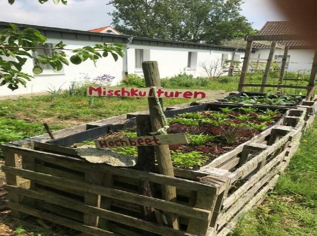 Mit Gleichgesinnten Informationen über den Garten austauschen kann man am 27. Juni auf dem Loosenhof.