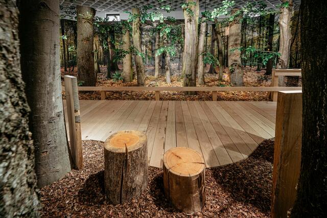Ein täuschend echter Eichen-Hainbuchen-Wald hält Einzug im LWL-Museum für Naturkunde für die neue Sonderausstellung "Alleskönner Wald".
Foto: LWL/Steinweg