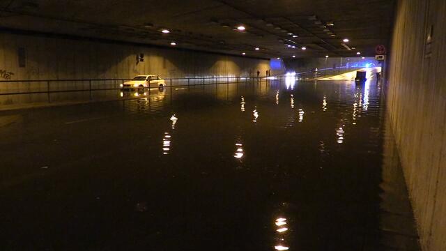 Foto: Maximilian Nettler