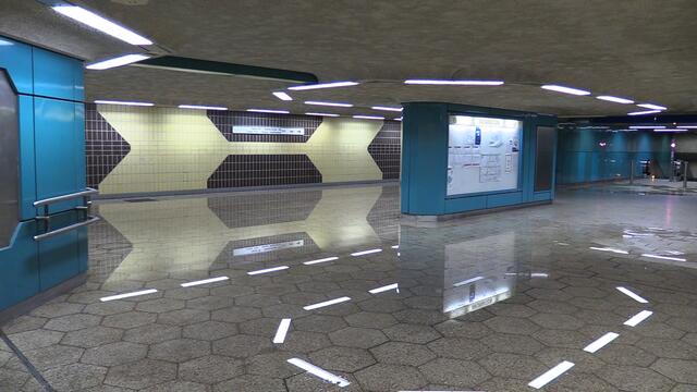 Foto: Maximilian Nettler