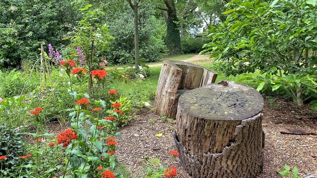 Foto: © Margot Klütsch