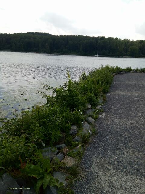 der Baldeneysee im Essener´ Süden ist immer wieder ein magischer Anziehungspunkt :-)