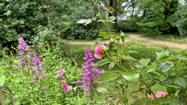 Foto: © Margot Klütsch