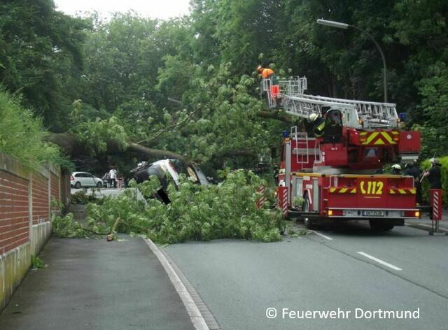Der Baum blockierte die Westermannstraße.