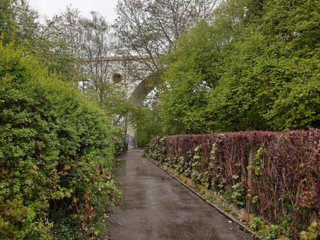 Hier unterquert man den Rheinischen Esel