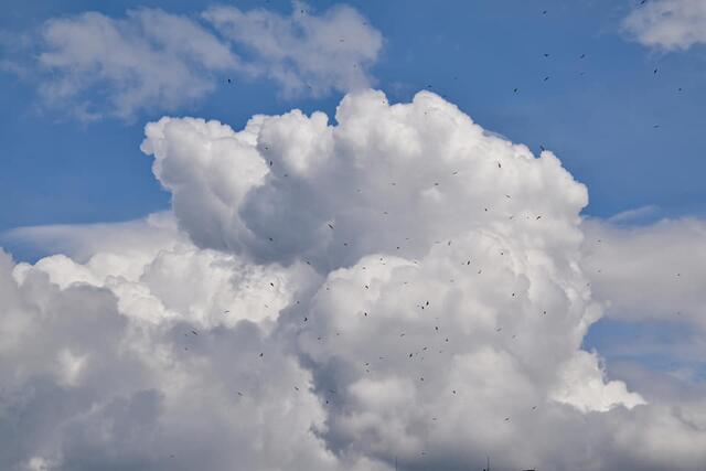 *Wolkenverhangener Himmel über dem Hafen*🚢 ⚓️ ☁️
- Foto/ Copyright: Birgit Leimann - Münster in Bildern 📷 