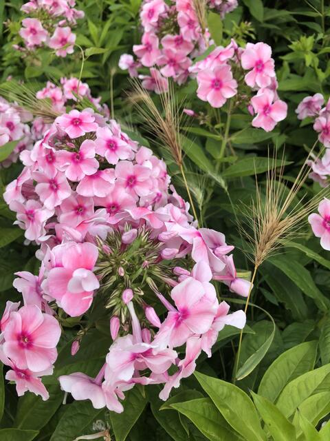 Essen Kettwig | Foto: Umbehaue