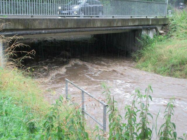 Die Bieber an der Brücke am Bieberblick.