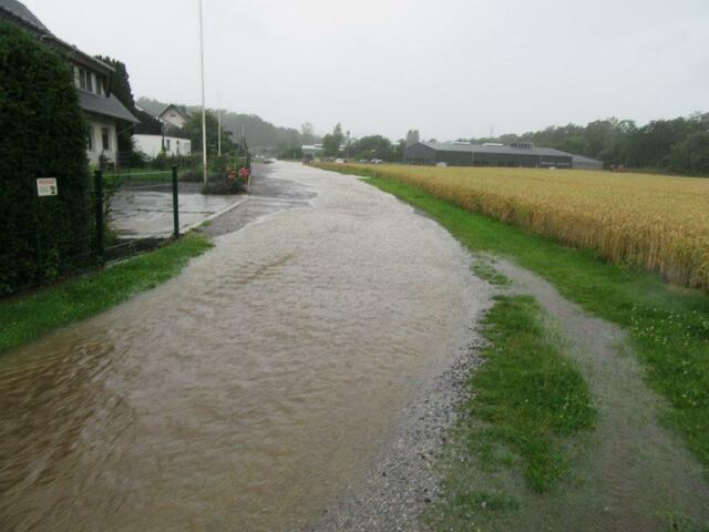 Über das Maisfeld zum Eilinger Kamp fand der Wasserlauf von Münstermanns Bach einen neuen Weg. 