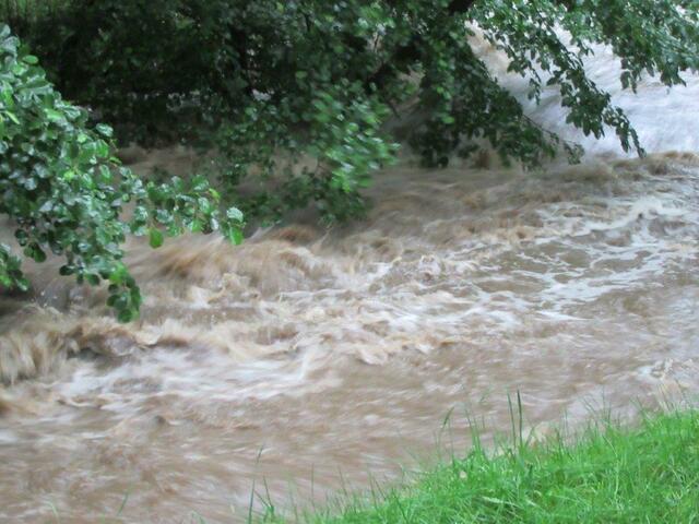 Die Strömung entwurzelte auch zahlreiche Bäume und riss Zäune mit sich.