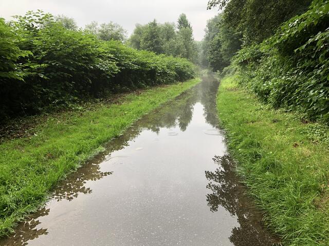 Radweg an der Ruhr um 17 Uhr