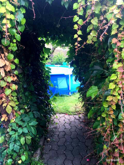 Juli 2020 - Blick zum Pool