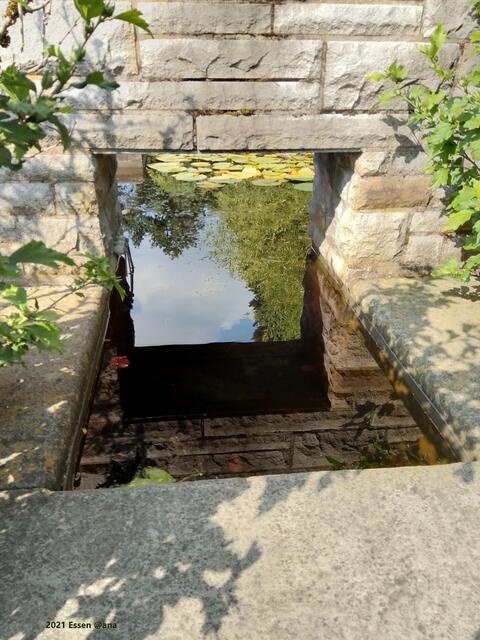 WASSER...wichtiges Element