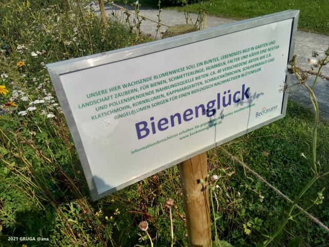 bunte ökologisch-wertvolle Wiesen...