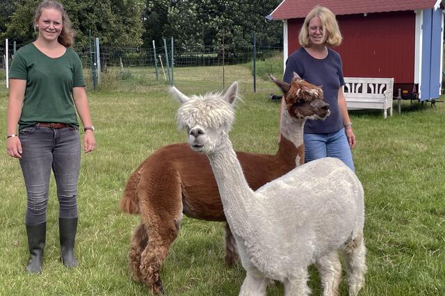 Mona zusammen mit Mutter Agnes Stadtmann und zwei Alpakas. | Foto: Bludau