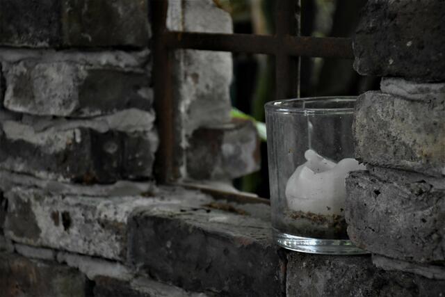 Kleiner Gartenmotiv-Rundgang mit Überraschungsgast: Was man auf 500