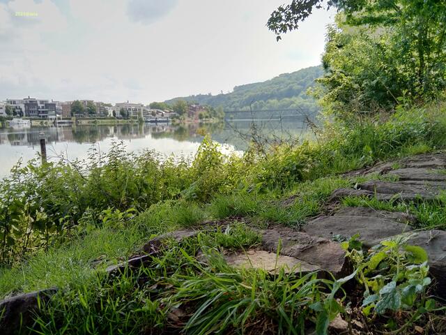 immer wieder der Blick aufs´ Wasser